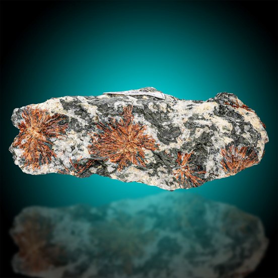 Normandite-Mount Partomchorr | Khibiny Massif | Murmansk Oblast | Ru$$ia